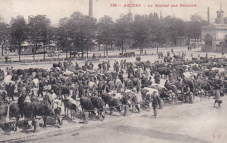 Fichier:CPA-Amiens-le-marche-aux-bestiaux-LC136.jpg
