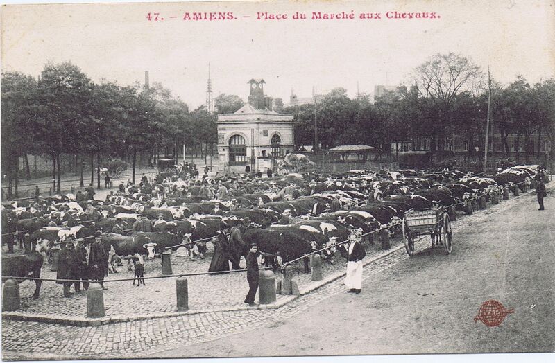 Fichier:CPA-Amiens-47-place-du-marche-aux-chevaux.jpeg