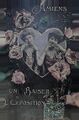 CPA-Exposition-internationale-Amiens-Un-baiser-de-l-exposition-1906-.jpg