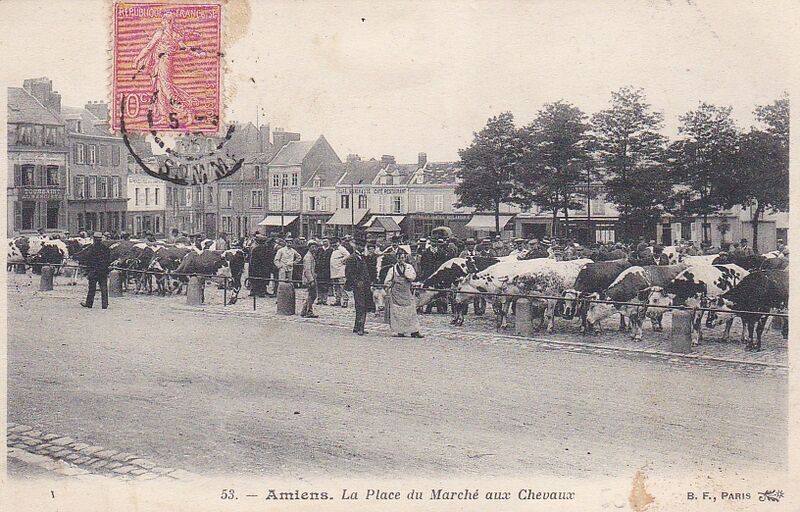 Fichier:CPA-Amiens-la-place-du-marche-aux-chevaux-BF53.jpg